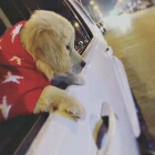 久帝-沉沦QQ飞车直播_久帝-沉沦视频直播 - 虎